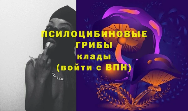 мяу мяу мука Абдулино