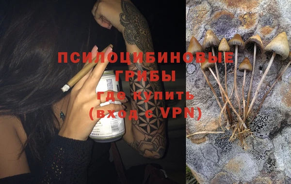 MESCALINE Алзамай