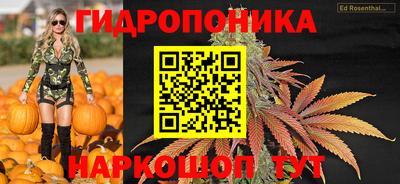 каннабис Новокубанск
