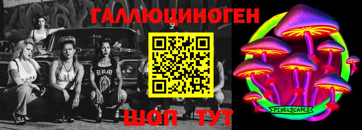 Галлюциногенные грибы Psilocybe Учалы